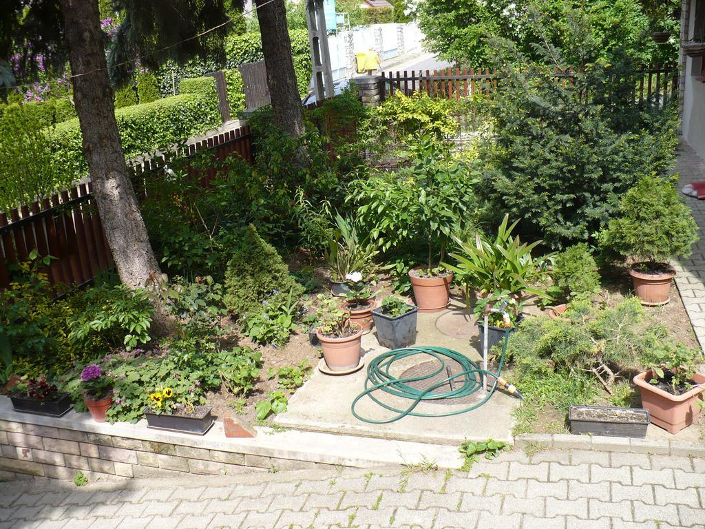 Apartamento Kitty Apartman Miskolc Exterior foto